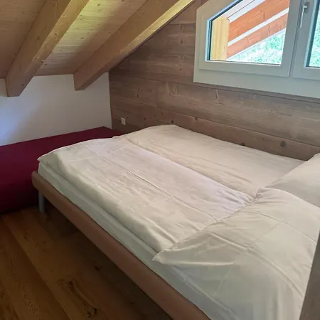 Lina Luxury Living View Near Interlaken *