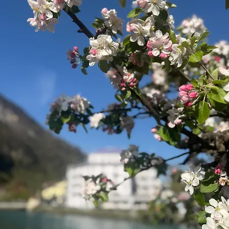 Lina Luxury Living View Near Interlaken * نيدريد