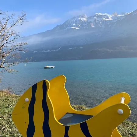 Lina Luxury Living View Near Interlaken * نيدريد