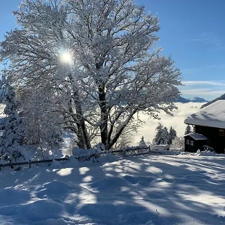 Lina Luxury Living View Near Interlaken *